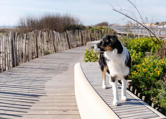 Pavillon 3 Pieces, 6 Pers, Vue Mer, Clim, Animaux, Parking - Fr-1-409-101